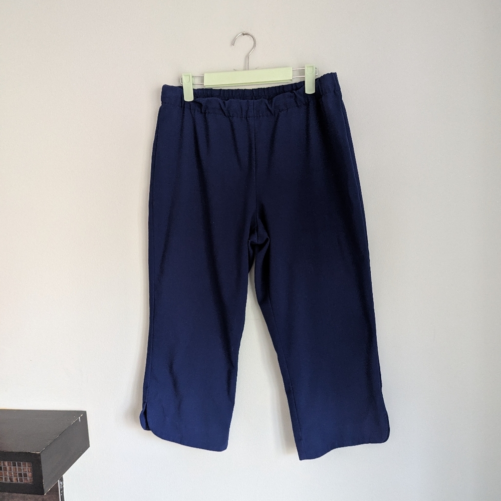 SUSAN GRAVER Womens 10 Blue Cropped Woven Pants Capris Pull On Elastic Waist 193